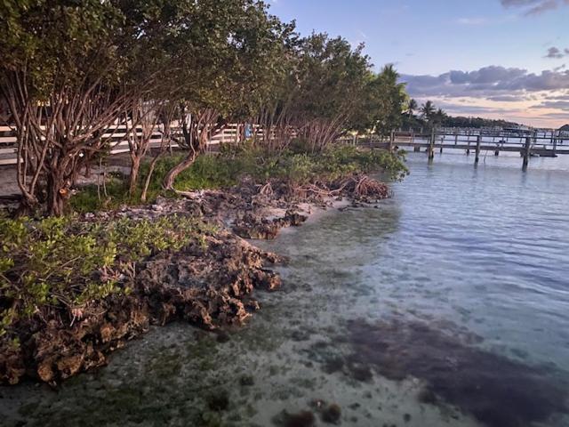 Bahia Bay Resort 基拉戈 外观 照片